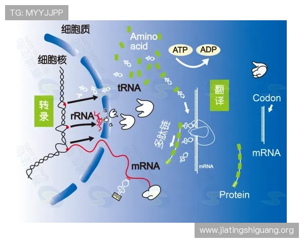 亚洲必赢是怎么控制的的详细操作流程与技术手段解析