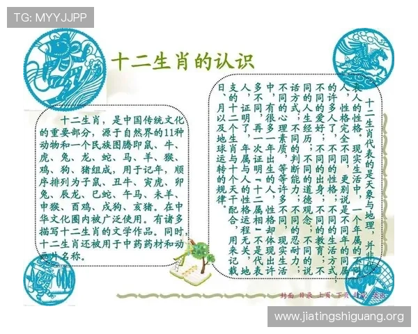 出龙和虎的玩法指南：从入门到高手的完整操作流程与实战经验